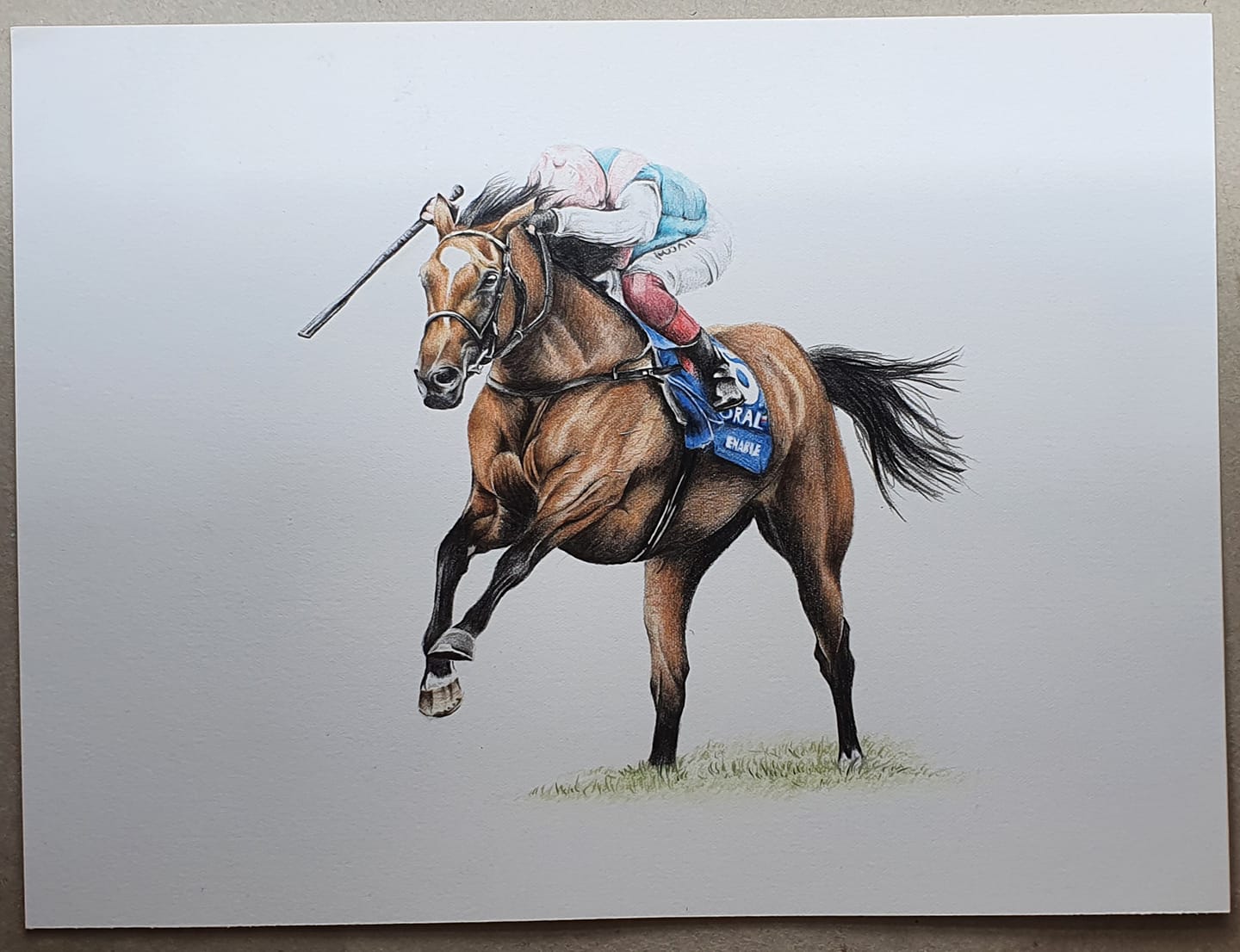ENABLE - 40cmx30cm coloured pencil drawing of the unbeaten flat mare enable